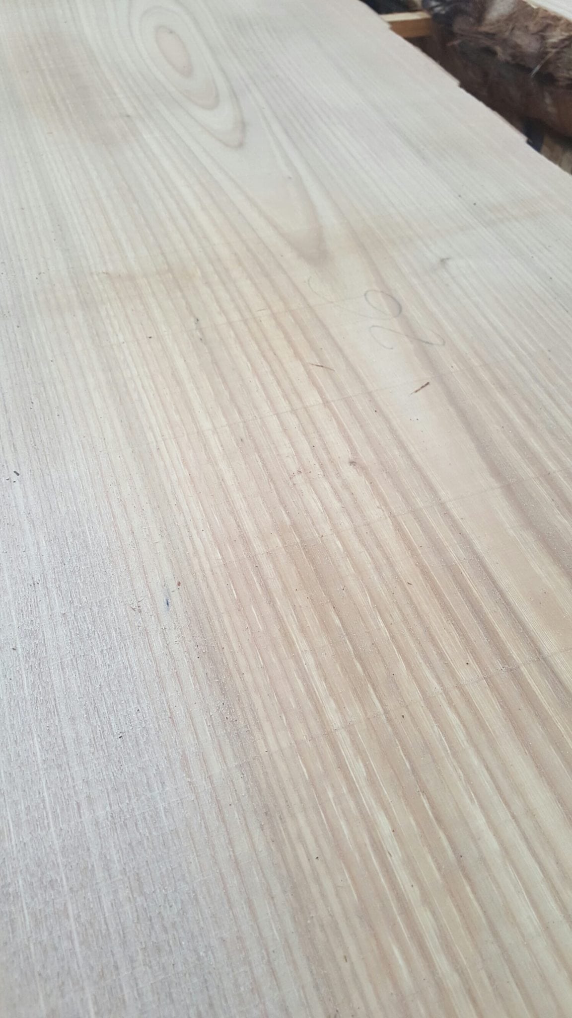 wp-1456476781042 image