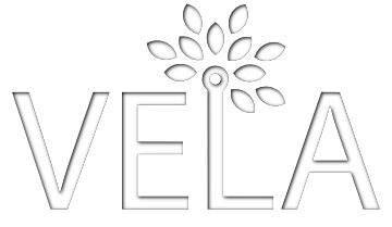 Vela S.r.l.