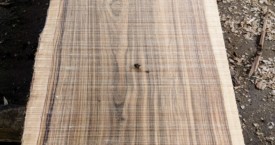 Tavolame in boules di olivo nazionale